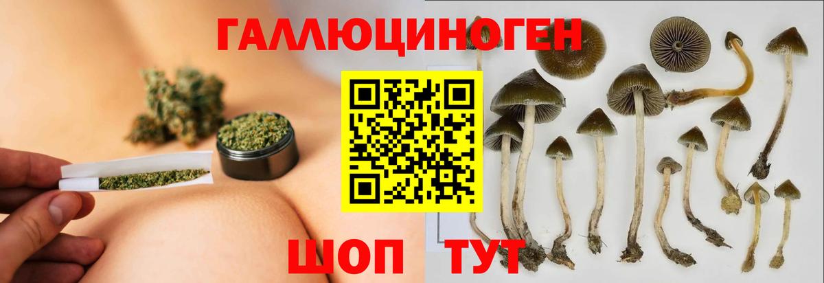Пугачёв  продажа наркотиков  Вход с VPN  Галлюциногенные грибы Psilocybe 